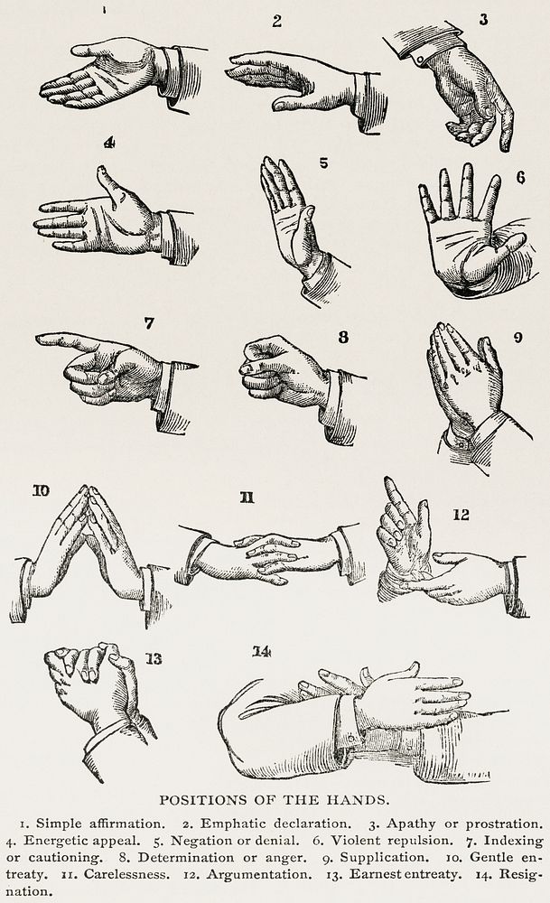 Positions of the Hands (1910) from the work of Joseph Gibbons Richardson (1836-1886). Drawings of hand gestures for sign…