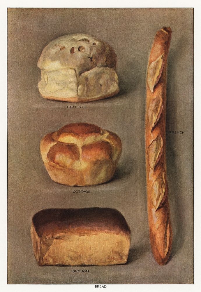 The Grocer's Encyclopedia (1911), a vintage collection of various types of baked bread loaves. Digitally enhanced from our…