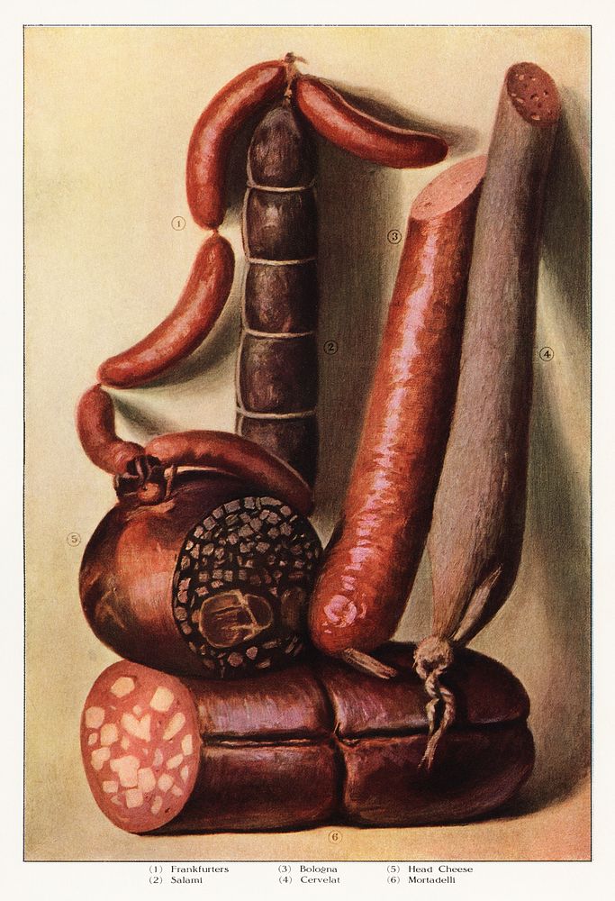 The Grocer's Encyclopedia (1911), an illustrated assortment of various types of appetizing sausages. Digitally enhanced from…