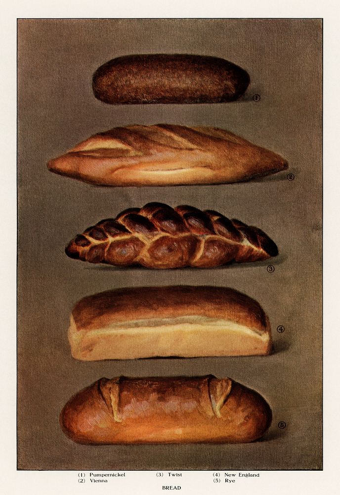 The Grocer's Encyclopedia, (1911), a vintage collection of various types of baked bread loaves. Digitally enhanced from our…