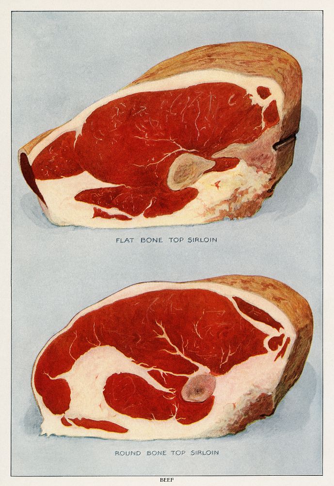 Beef Sirloins from the book, The Grocer’s Encyclopedia (1911). Digitally enhanced from our own original plate. 