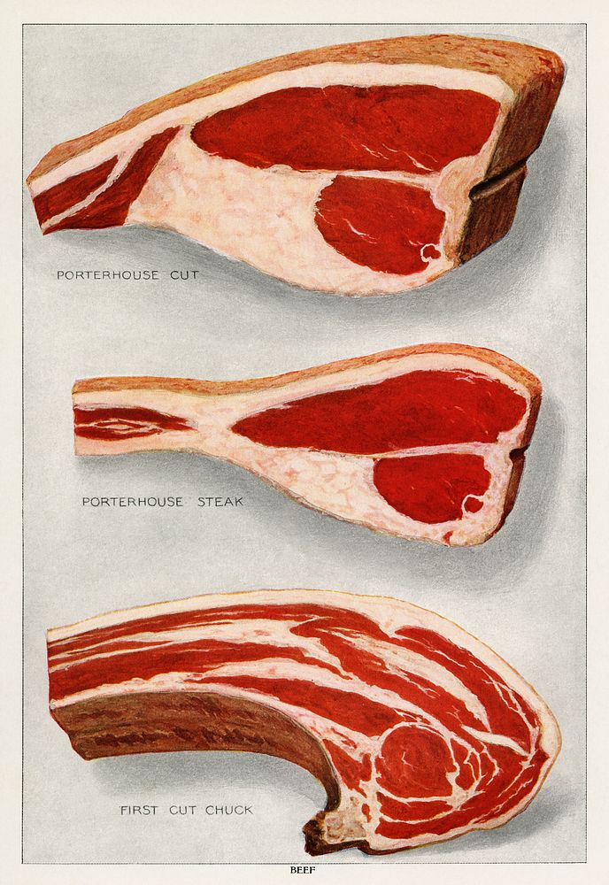 Beef Sirloins from the book, The Grocer’s Encyclopedia (1911). Digitally enhanced from tour own original antique plate. 