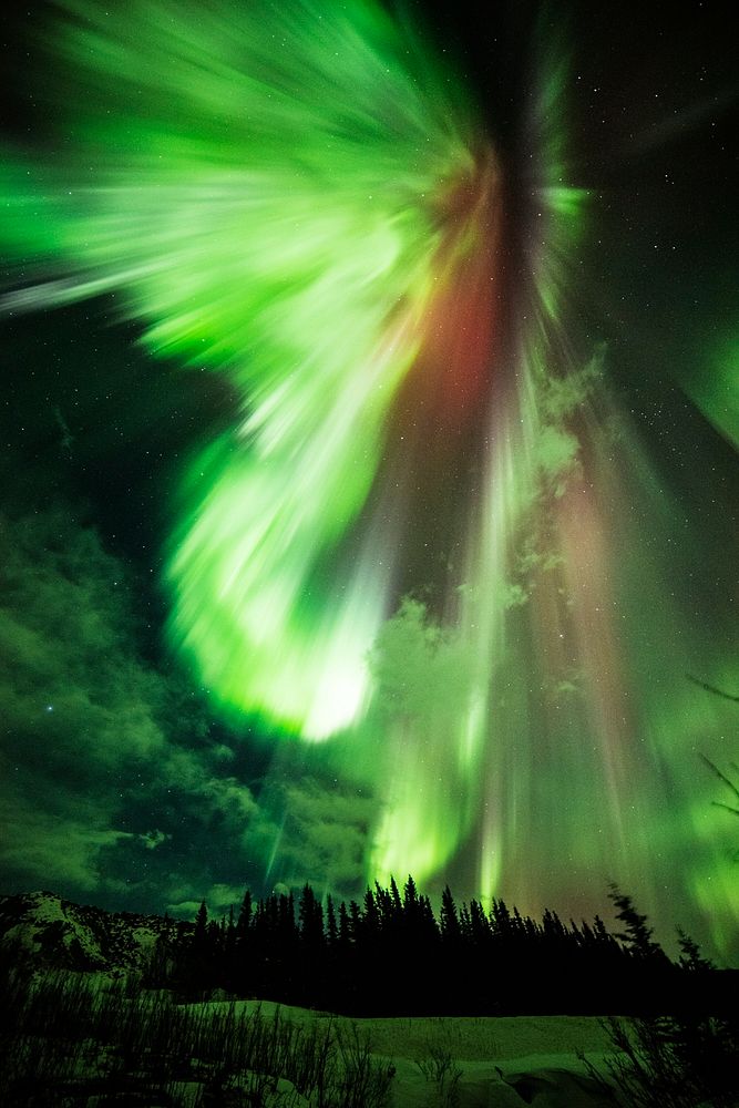 St. Patrick's aurora, a green aurora taken at Donnelly Creek, Alaska, March 17th, 2015. Original from NASA. Digitally…