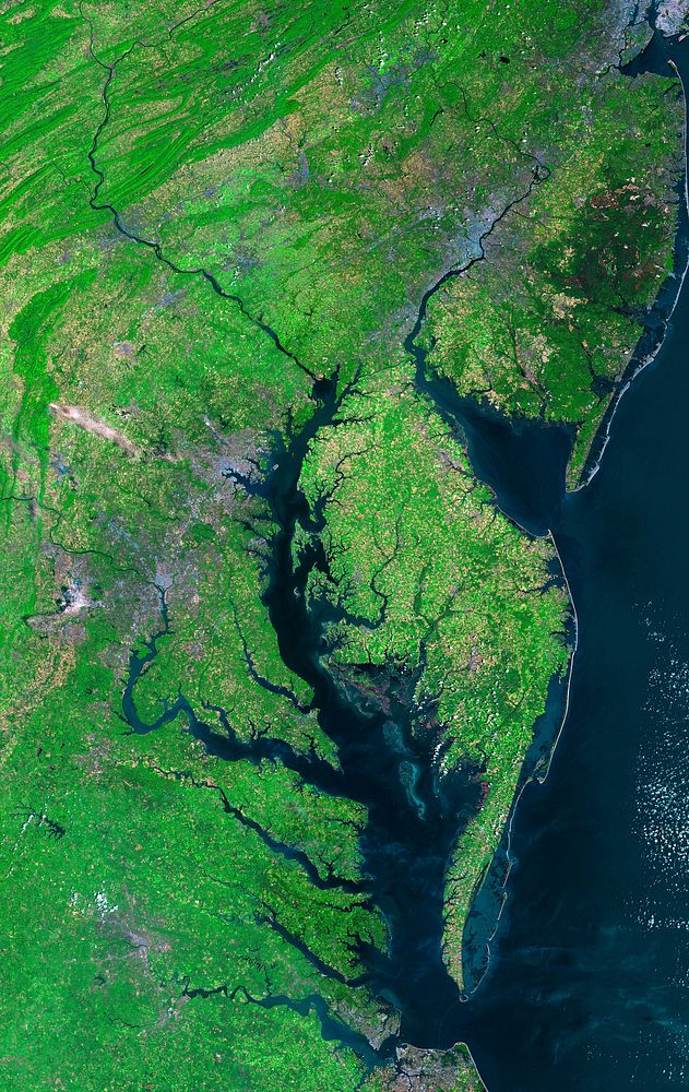 Beautiful new mosaic of Chesapeake Bay. Original from NASA. Digitally enhanced by rawpixel.