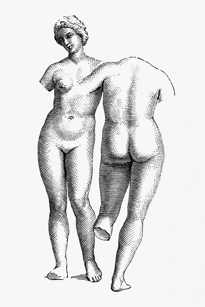 Vintage illustration of Drawing of Raphael-Museum of Venice