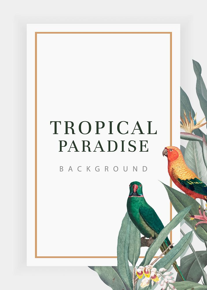 Tropical paradise banner template vector frame