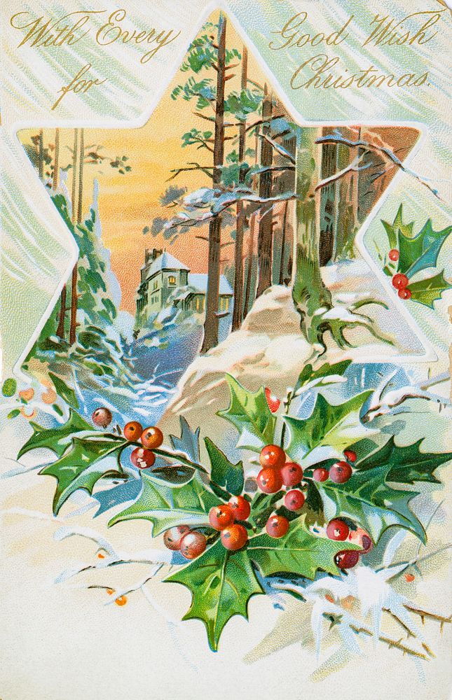 Vintage Christmas Postcard Depicting Star and Holly from The Miriam and Ira D. Wallach Division of Art, Prints and…