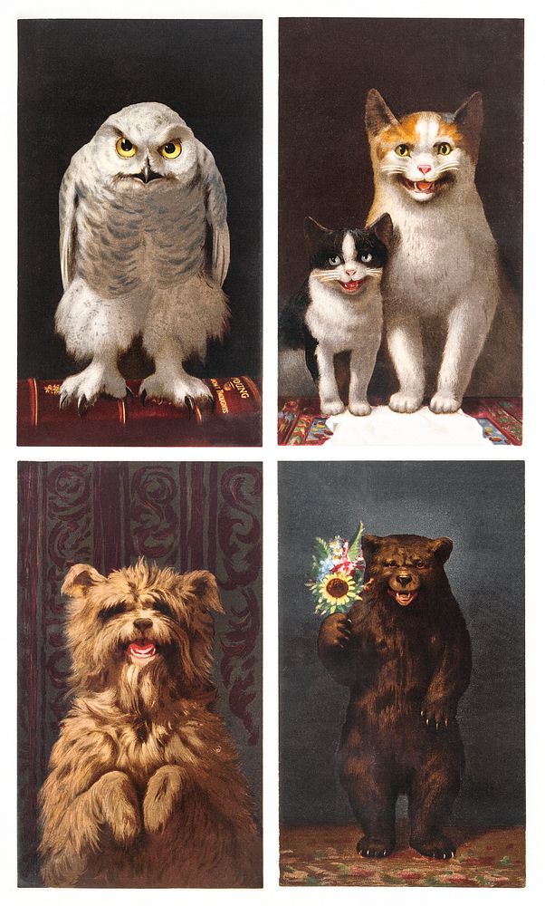 Christmas Cards Depicting Animals : Owls, Bears, Cats, and Dogs (1865&ndash;1899) by L. Prang & Co. Original from The New…
