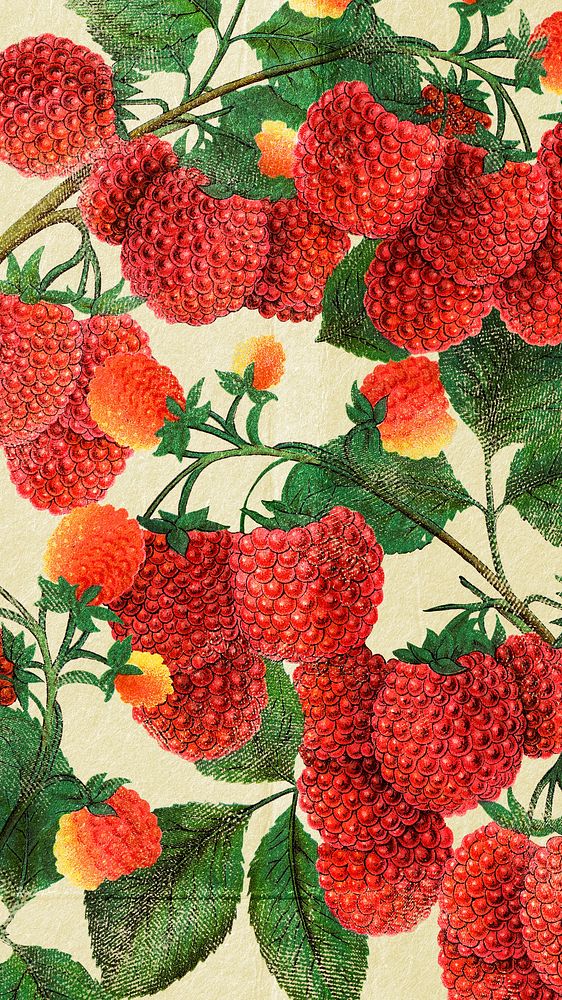 Raspberry phone wallpaper, red vintage aesthetic