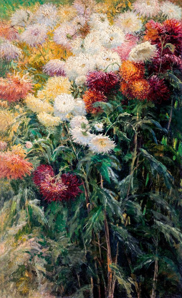 Chrysanthemums in the Garden at Petit&ndash;Gennevilliers (1893) painting in high resolution by Gustave Caillebotte.…