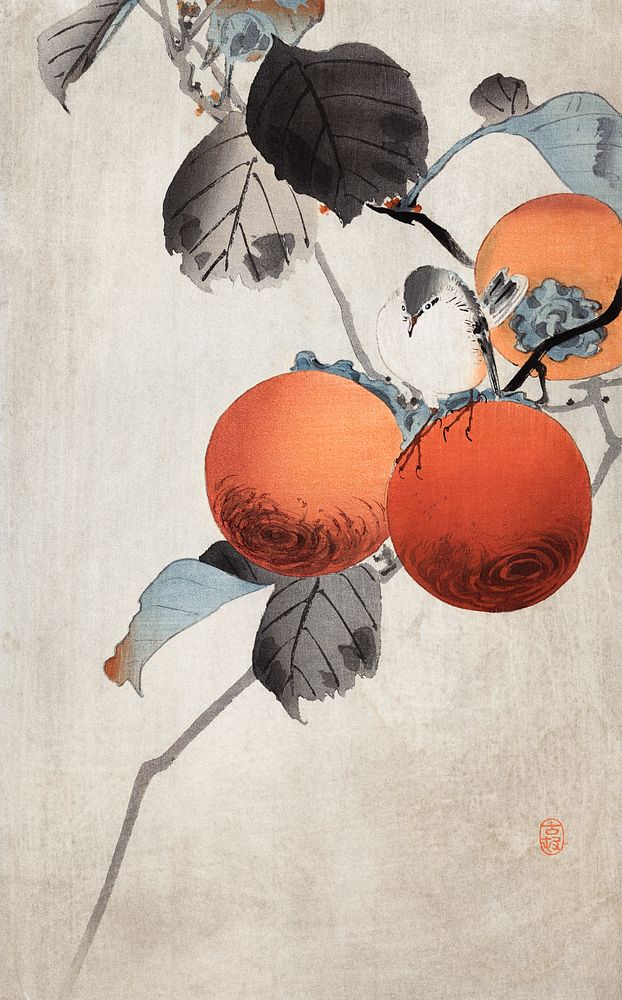 Nuthatcher atop Persimmons (ca. 1910) by Ohara Koson. Original from The Clark Art Institute. Digitally enhanced by rawpixel.