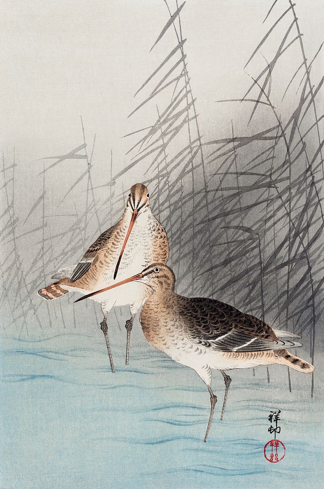 Two bar-tailed godwits (1926) by Ohara Koson. Original from Museum of New Zealand. Digitally enhanced by rawpixel.