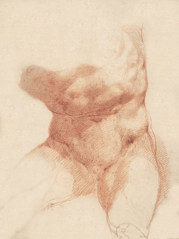 Naked man spreading his legs, vintage nude illustration. Study after the Belvedere Torso (1585) by Cavaliere d'Arpino.…