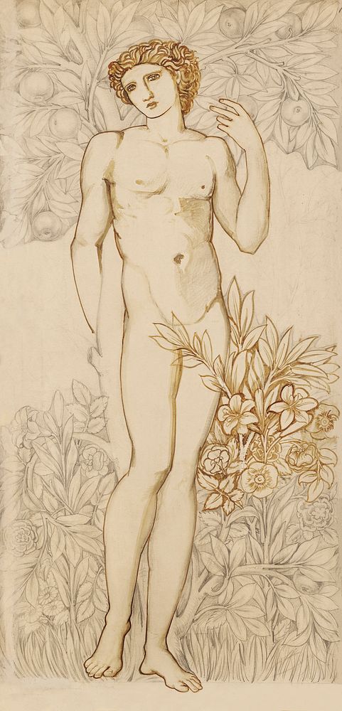 The Angels of the Hierarchy: Male Nude: Imago Dei (1873) by Edward Burne-Jones. Original from The Birmingham Museum.…