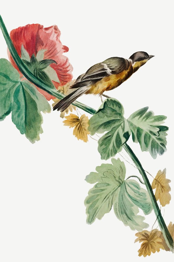Vintage bird on flower branch psd illustration