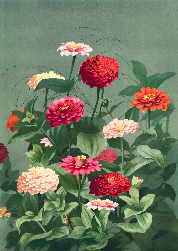 Flowers (1884) in high resolution by L. Prang & Co. Original from The Library of Congress. Digitally enhanced by rawpixel.