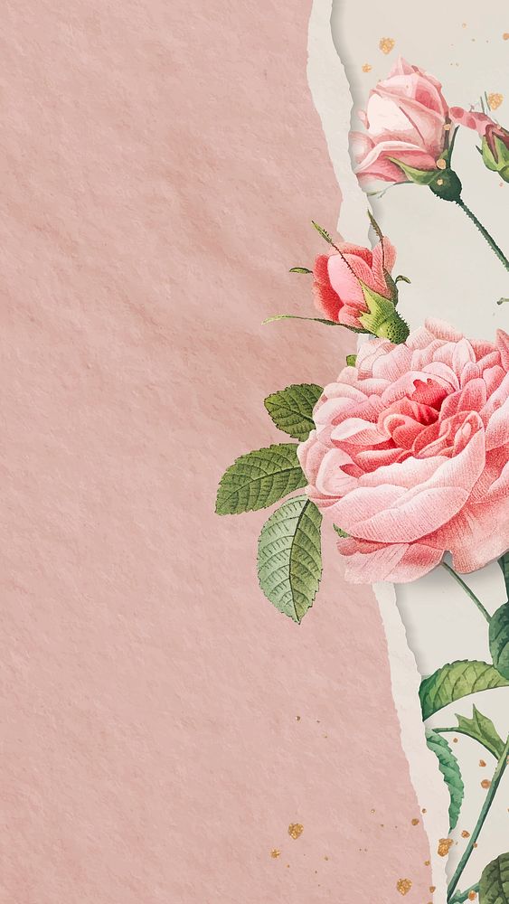 Pink rose frame design vector