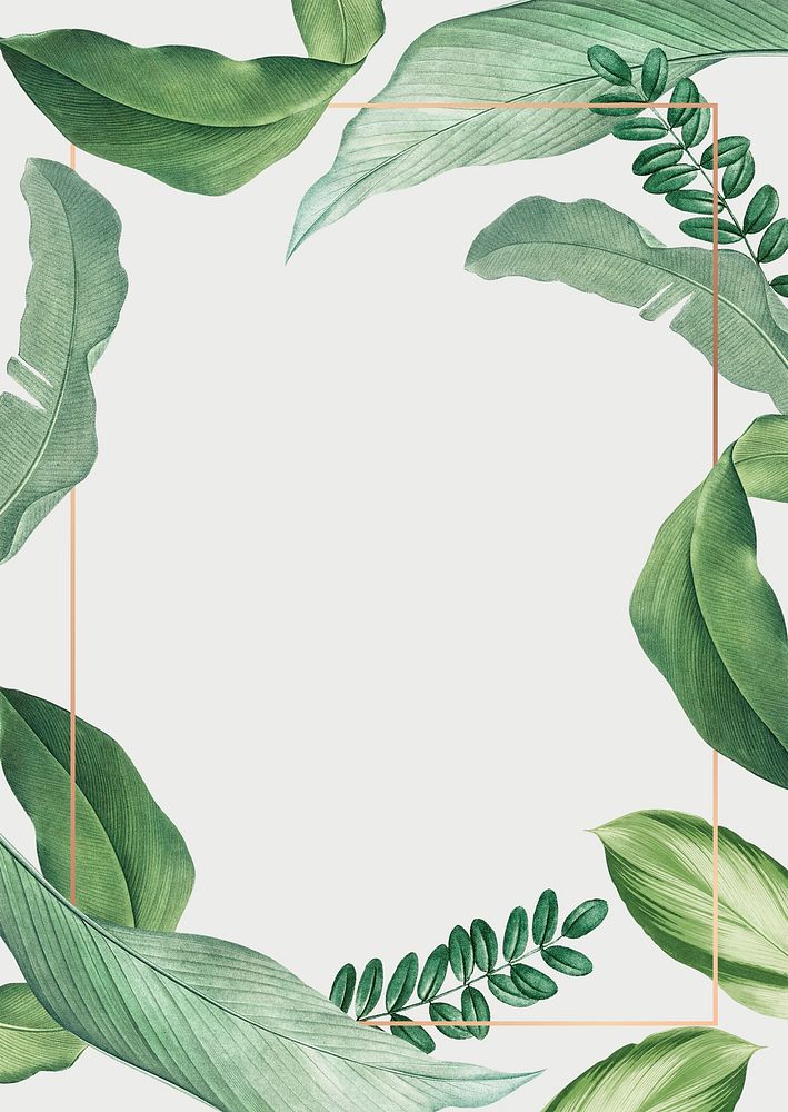 Hand drawn tropical leaves poster illustration