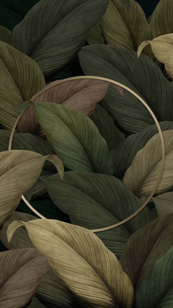 Gold round frame on tropical leaves background