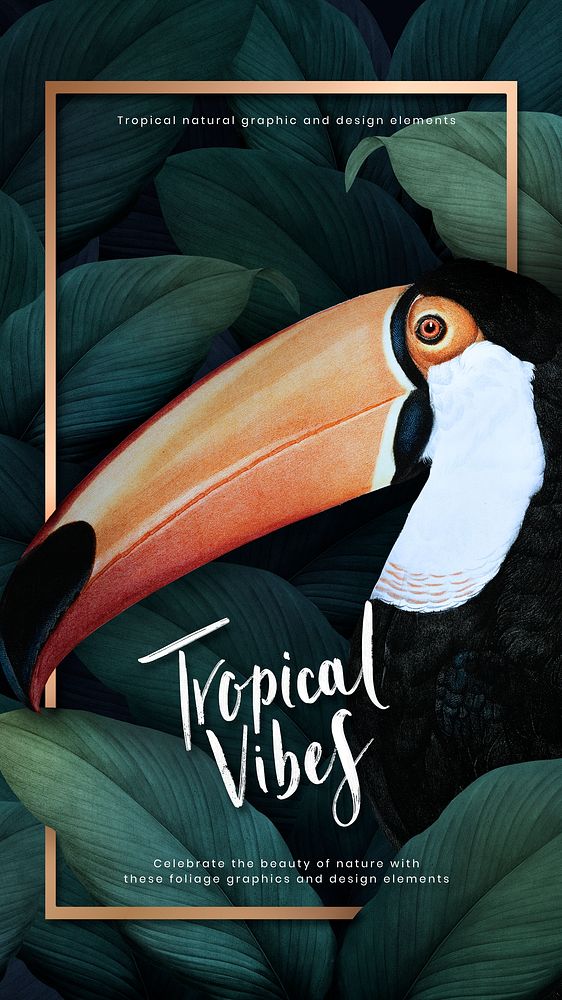 Tropical macaw on a golden frame illustration