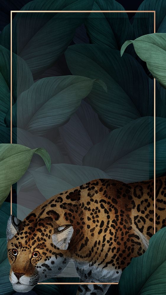 Cheetah on a golden frame illustration