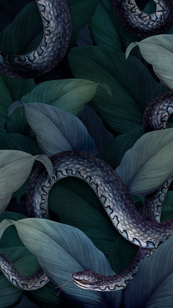 Snake on a leafy background