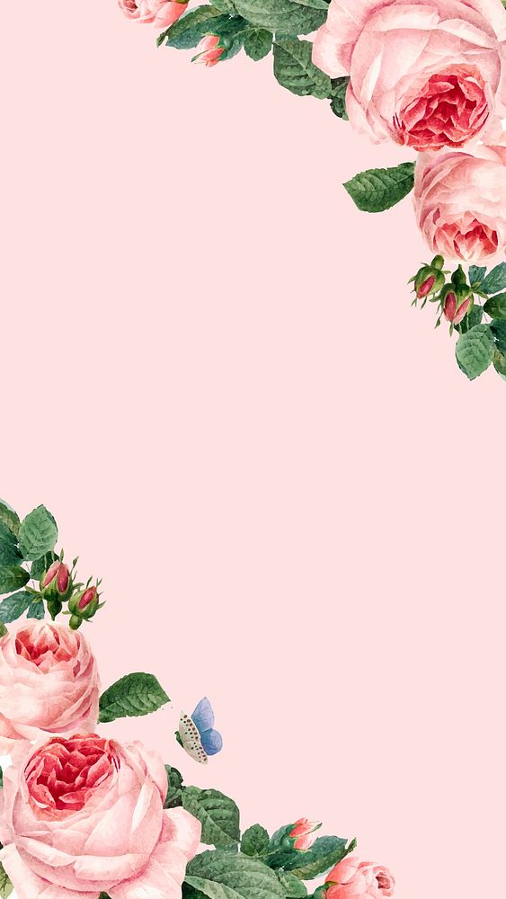 Hand drawn pink roses frame on pastel pink background vector