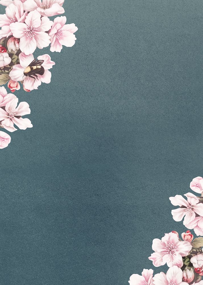 Cherry blossom flower border frame on blue background