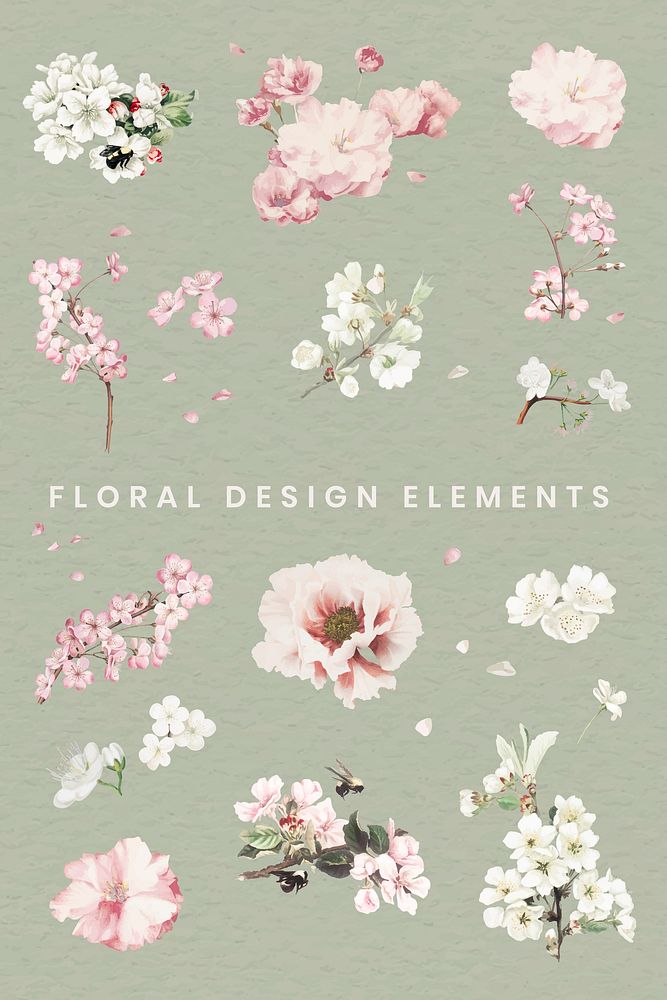 Floral design elements vector collection