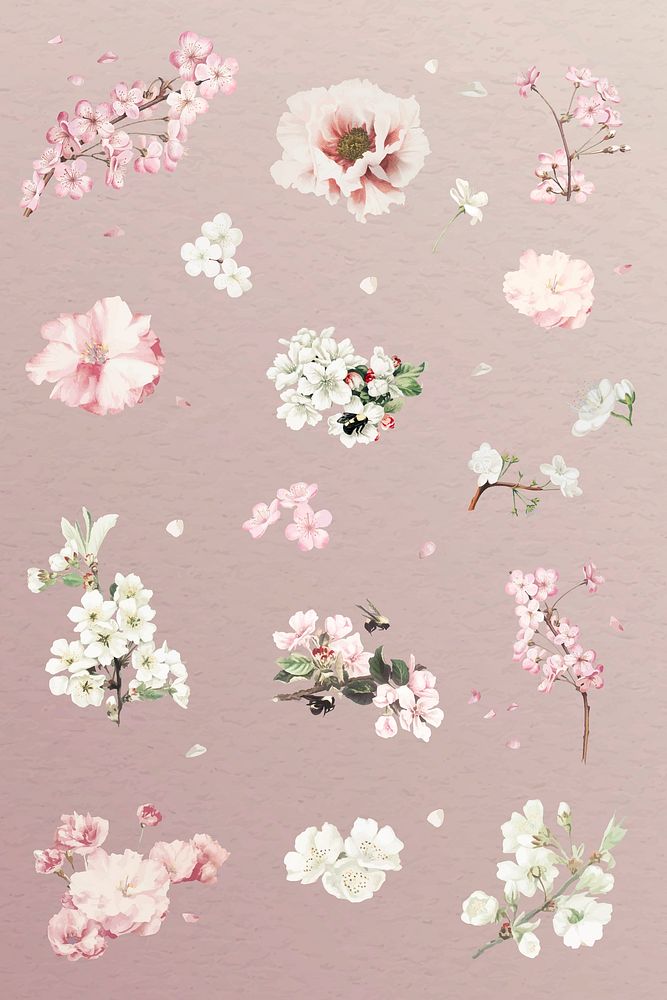 Pink and white floral collection vector