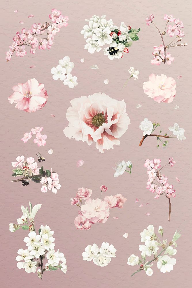 Pink and white floral collection vector