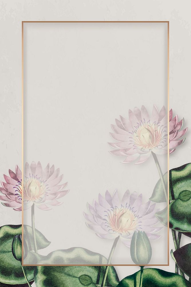 Blank purple water lilies frame vector
