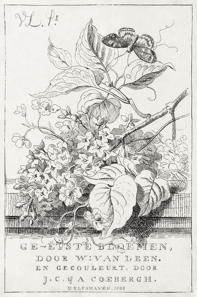 Flower study with butterfly (1801) print in high resolution by Willem Van Leen. Original from the Rijksmuseum. Digitally…