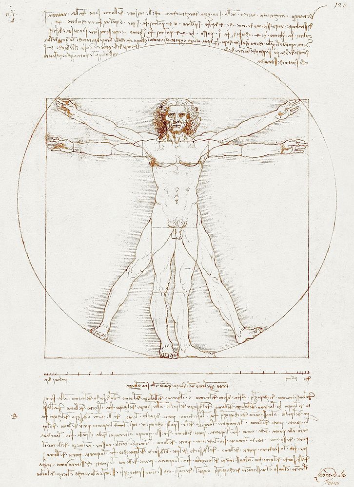 Leonardo da Vinci's Vitruvian Man (circa 1492) famous drawing. Original from Wikimedia Commons. Digitally enhanced by…