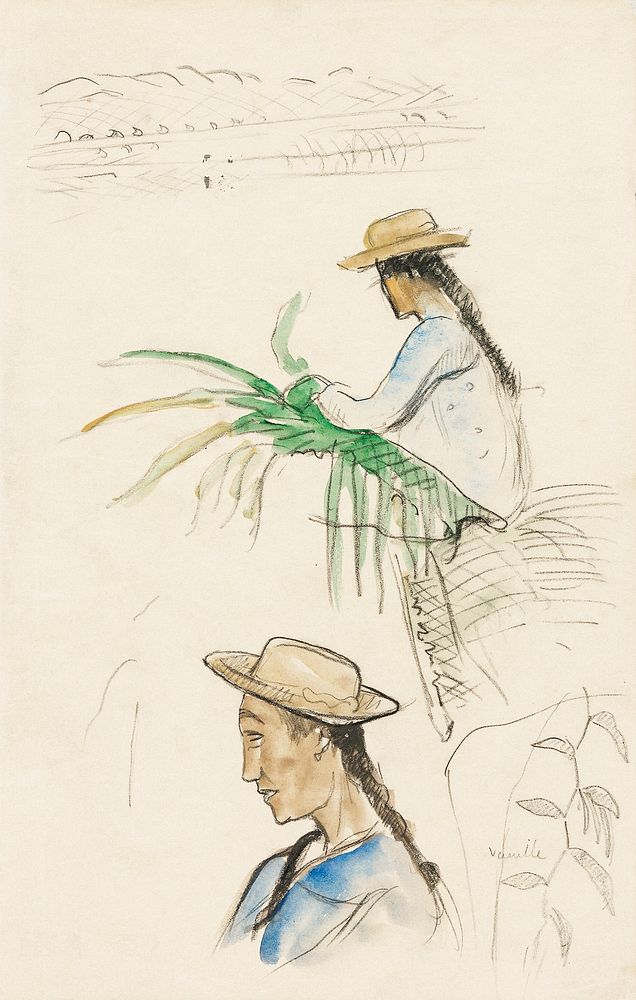 Sketches of Figures, Pandanus Leaf, and Vanilla Plant (ca. 1891&ndash;1893) by Paul Gauguin. Original from The Art Institute…