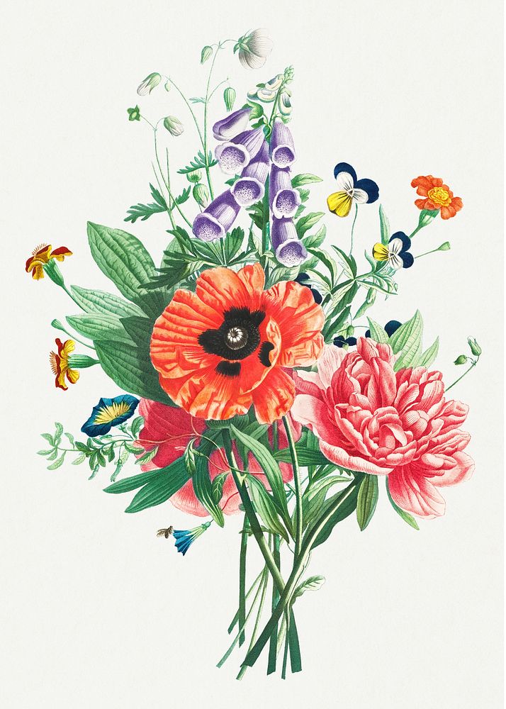 Vintage poppy, peony and foxglove bouquet illustration botanical wall art