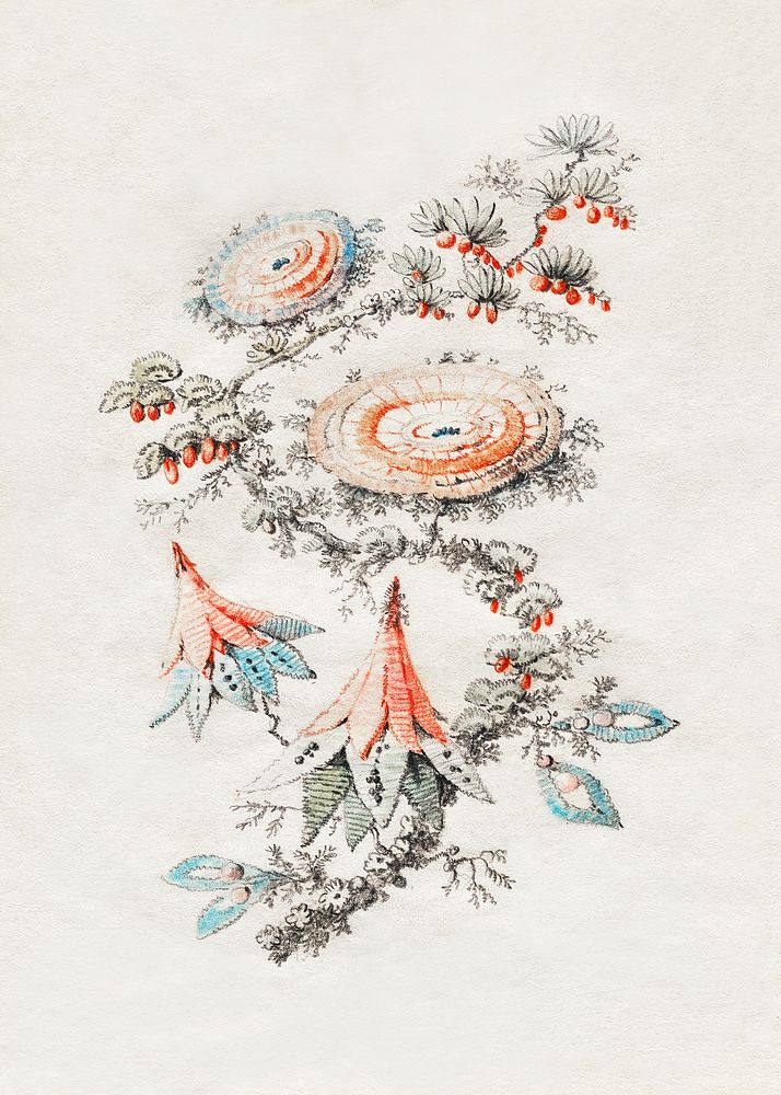 Flower Embroidery Design for Silk Manufactory of Lyon (ca. 1790) by Jean Baptiste Pillement. Original from The Cleveland…