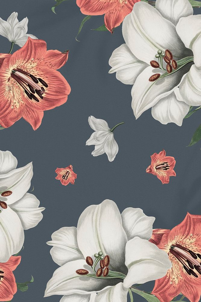 Vintage white and orange lily flower pattern on dark gray background design resource