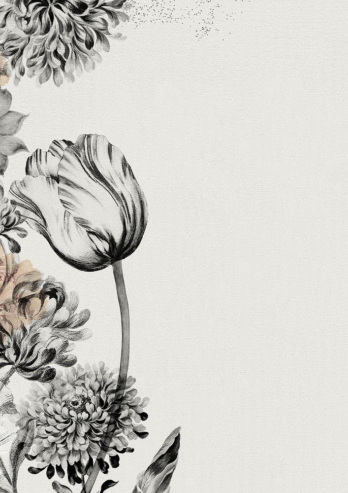 Vintage black and white tulip with large double china aster flower background design resource