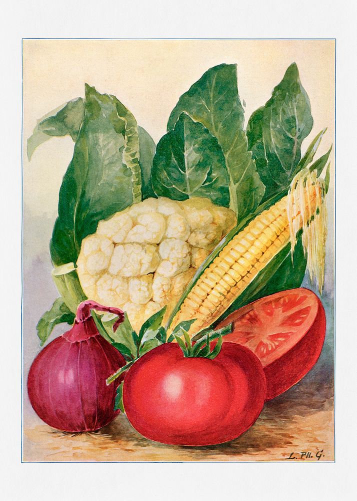 Vegetable watercolor illustration. Digitally enhanced from our own original copy of The Open Door to Independence (1915) by…