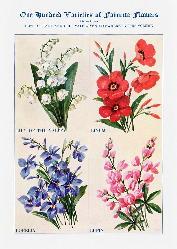 Flower watercolor illustration. Digitally enhanced from our own original copy of The Open Door to Independence (1915) by…