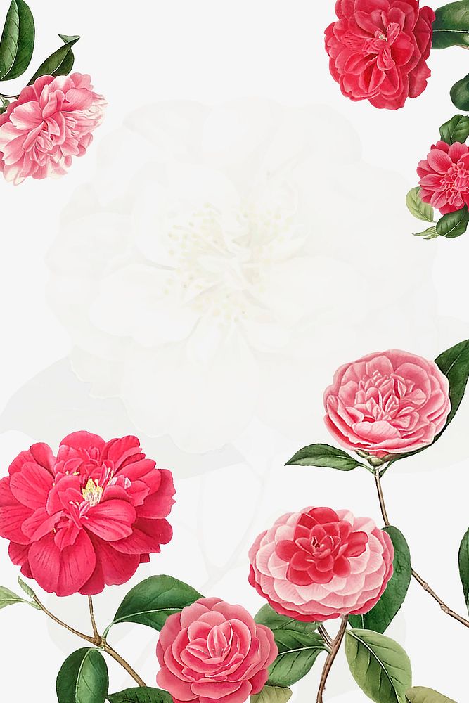 Vintage Camellia frame vector