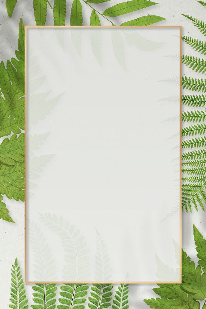 Frame of fern leaves background