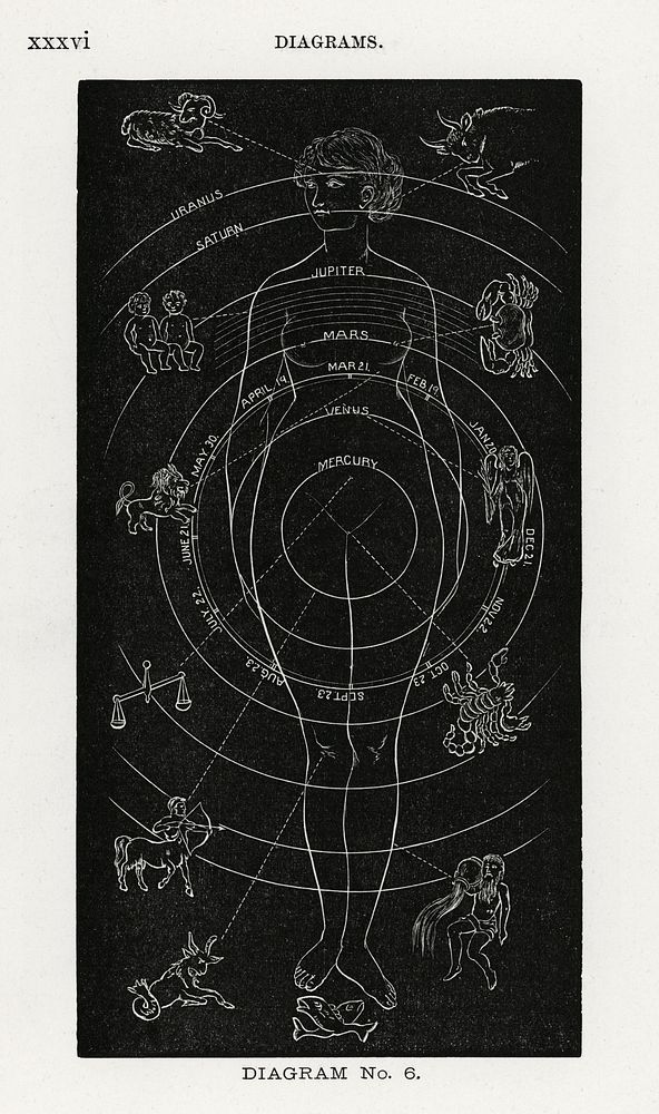 Diagram no.6 print in high resolution. Digitally enhanced from our own edition of Solar Biology by Hiram Erastus Butler…
