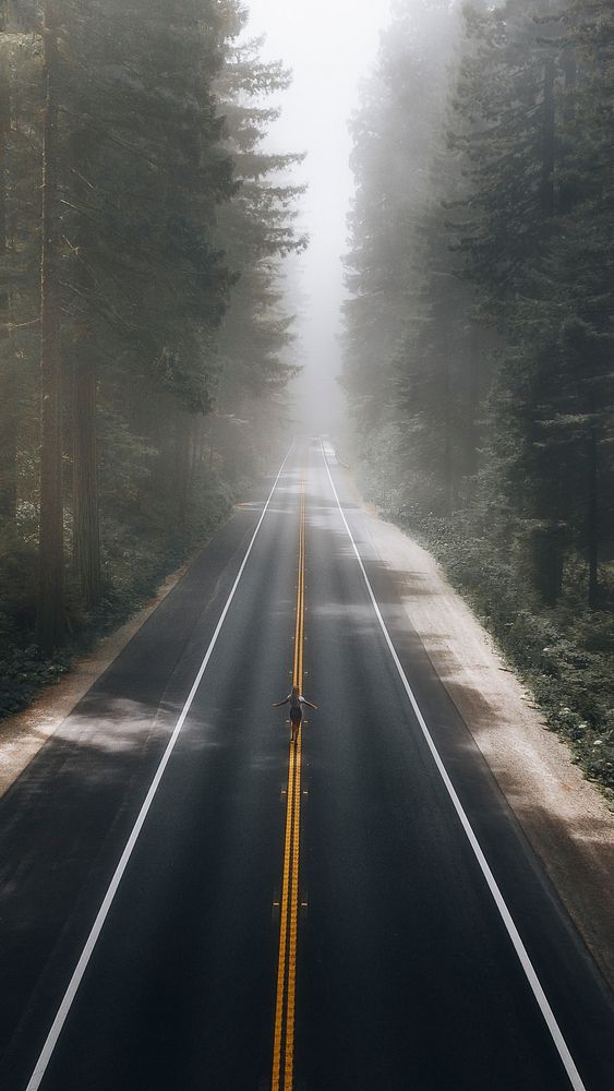 Nature mobile wallpaper, road through forest phone background