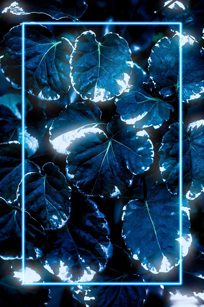 Blue neon frame on Polyscias Balfouriana leaves mockup