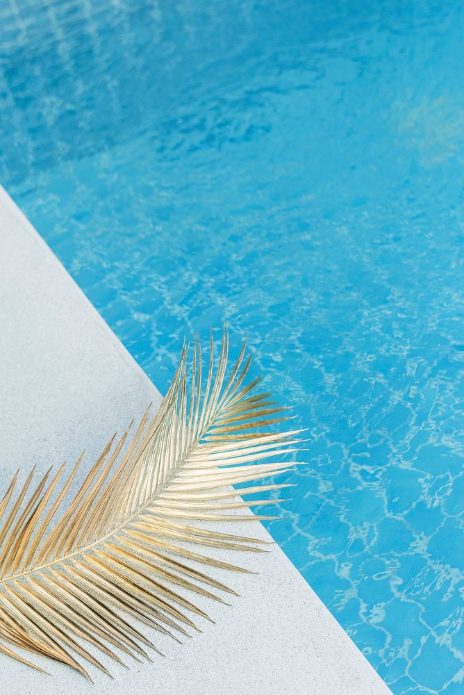 Blue swimming pool with palm leaf in sunlight