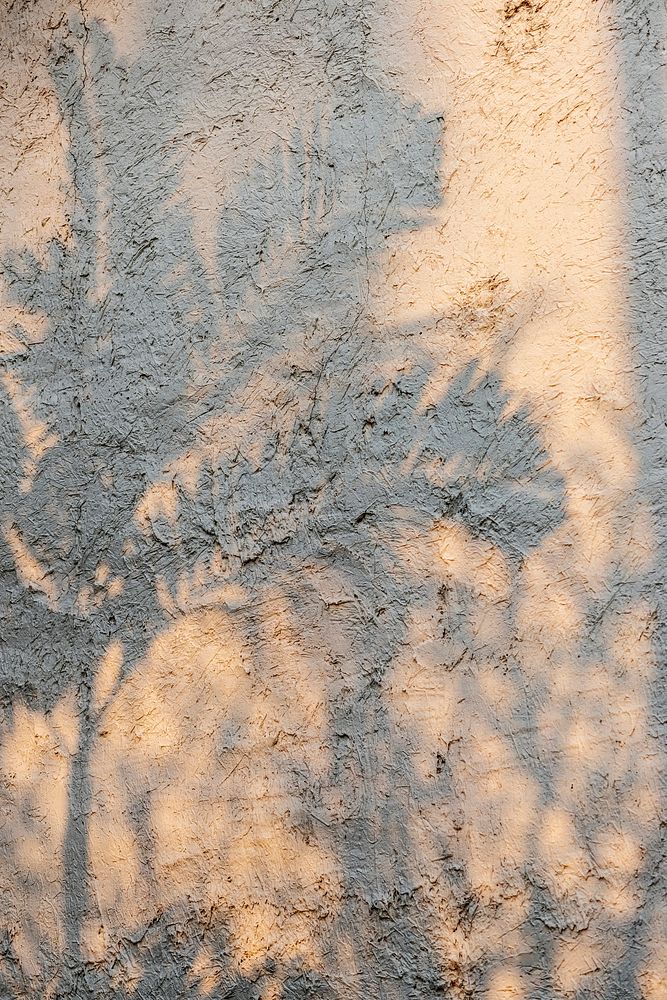 Tree branch shadow on a grunge wall