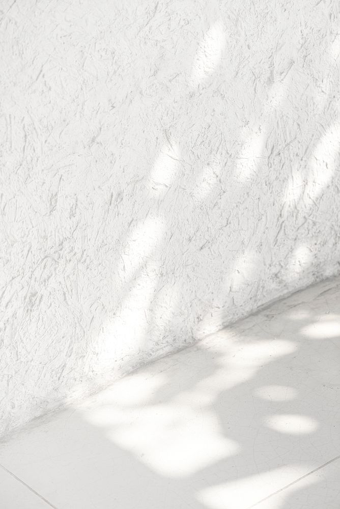 Empty white corner with tropical leaf shadow