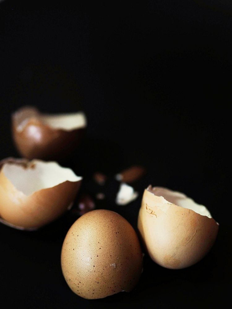 Closeup of cracked egg shells